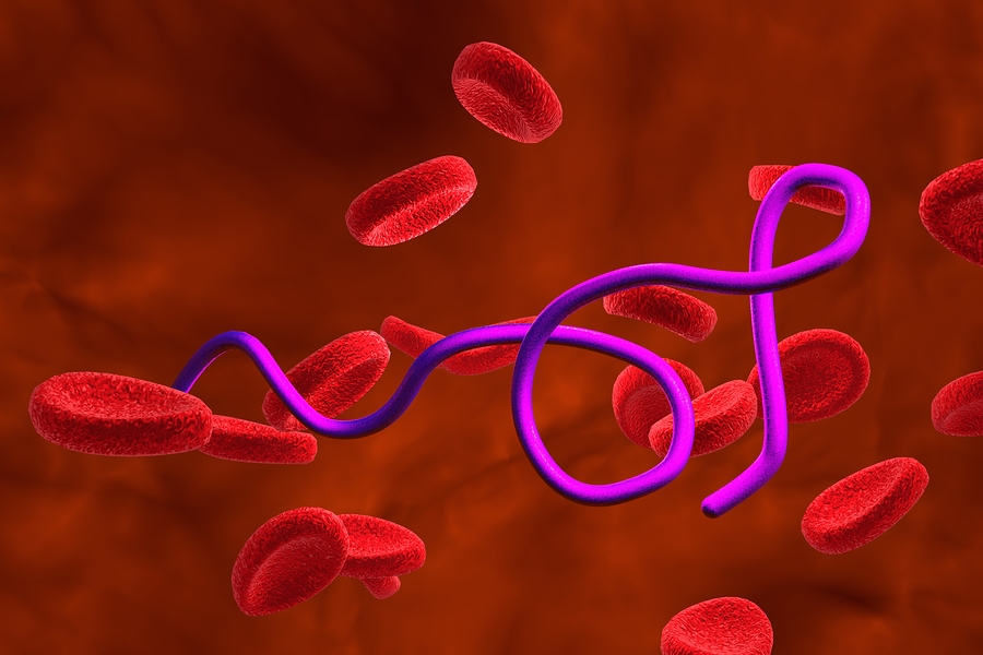 borrelien