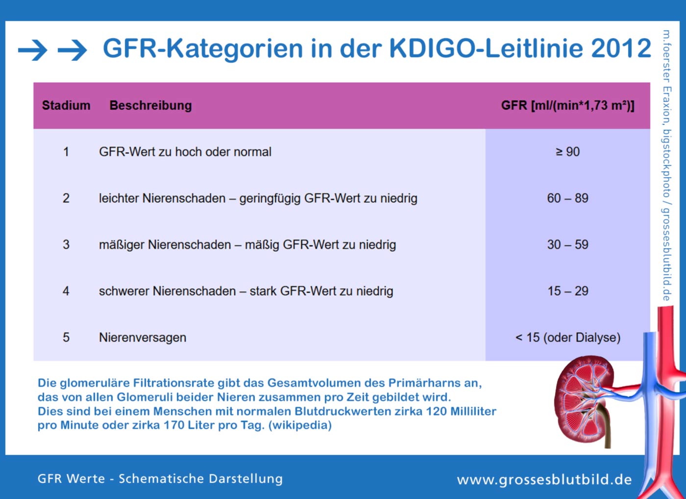 GFR-Wert zu niedrig oder erhöht (Glomeruläre Filtrationsrate) Nieren