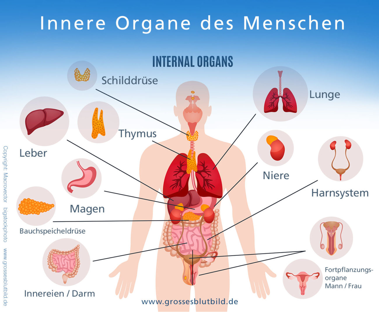 Bauch rechte schmerzen unterm seite Druck Bauch