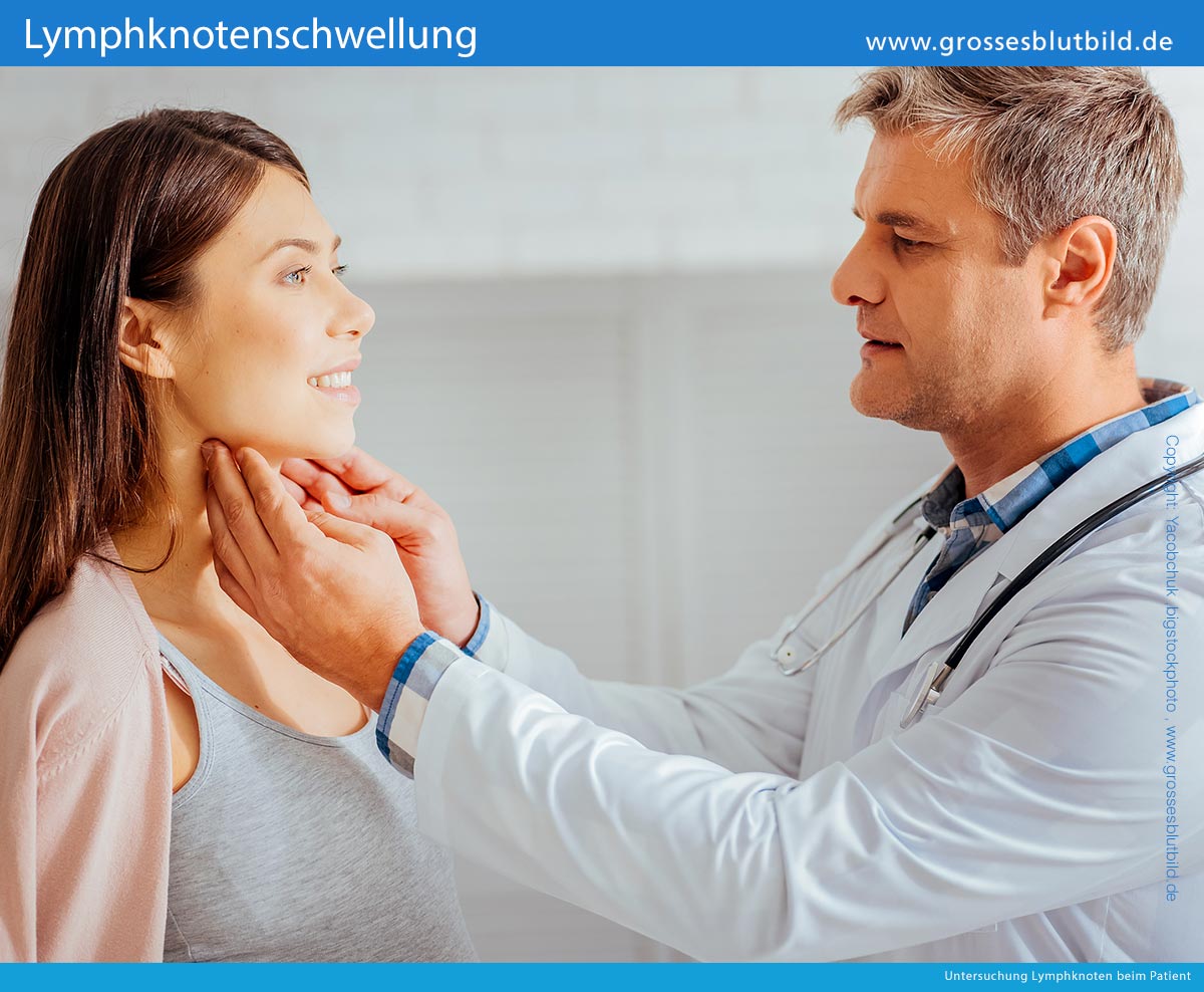Welcher Arzt Macht Die Lymphknoten Untersuchung Dr Stephan