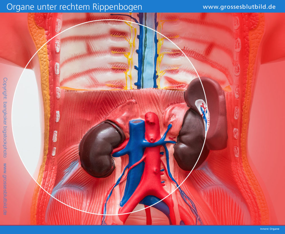 Rechts bauch stechen im Stechen im