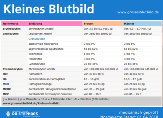 Lymphozyten Blutwert - erhöhte und niedrige Lymphozyten im Blutbild: