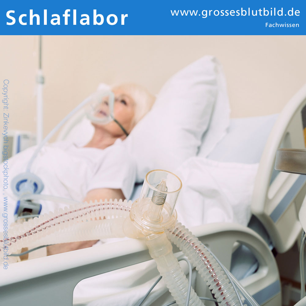 Untersuchungen im Schlaflabor